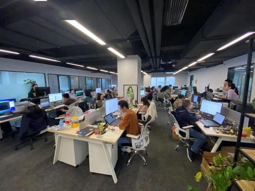 時擎科技 深耕張江科創(chuàng)沃土，以端側AI芯片撬動智能未來